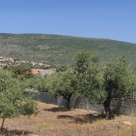 Casa Do Avo Pedro Lagar Novo