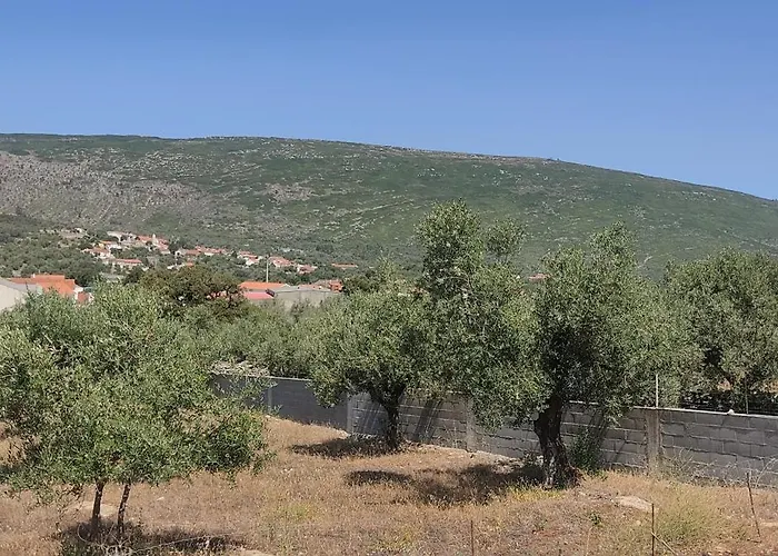 Casa Do Avo Pedro Lagar Novo